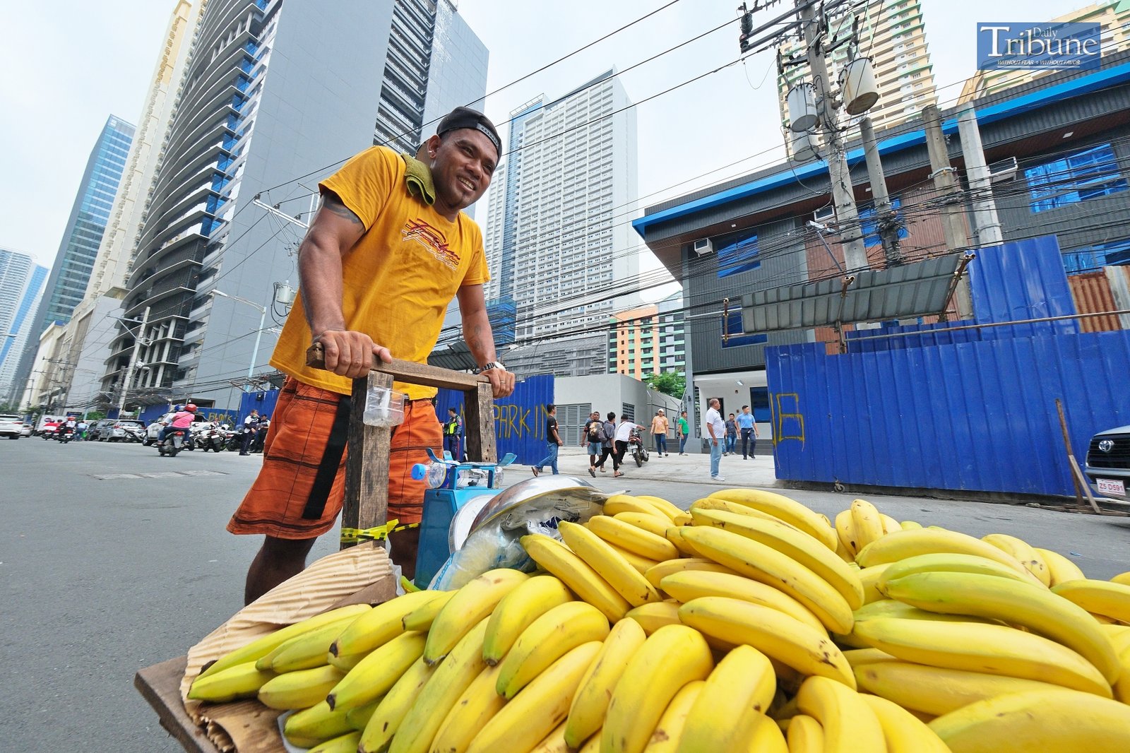 TRIBUNE-Bananas